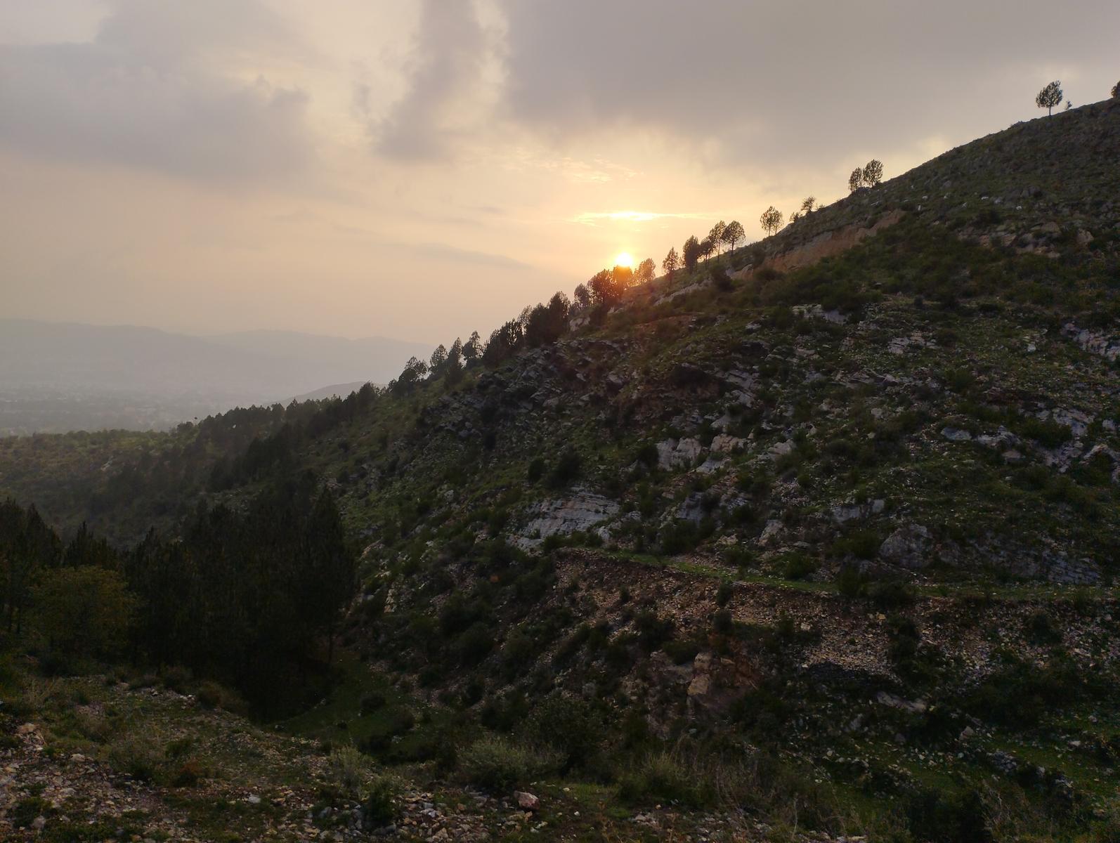 Basali Top - Photo 2