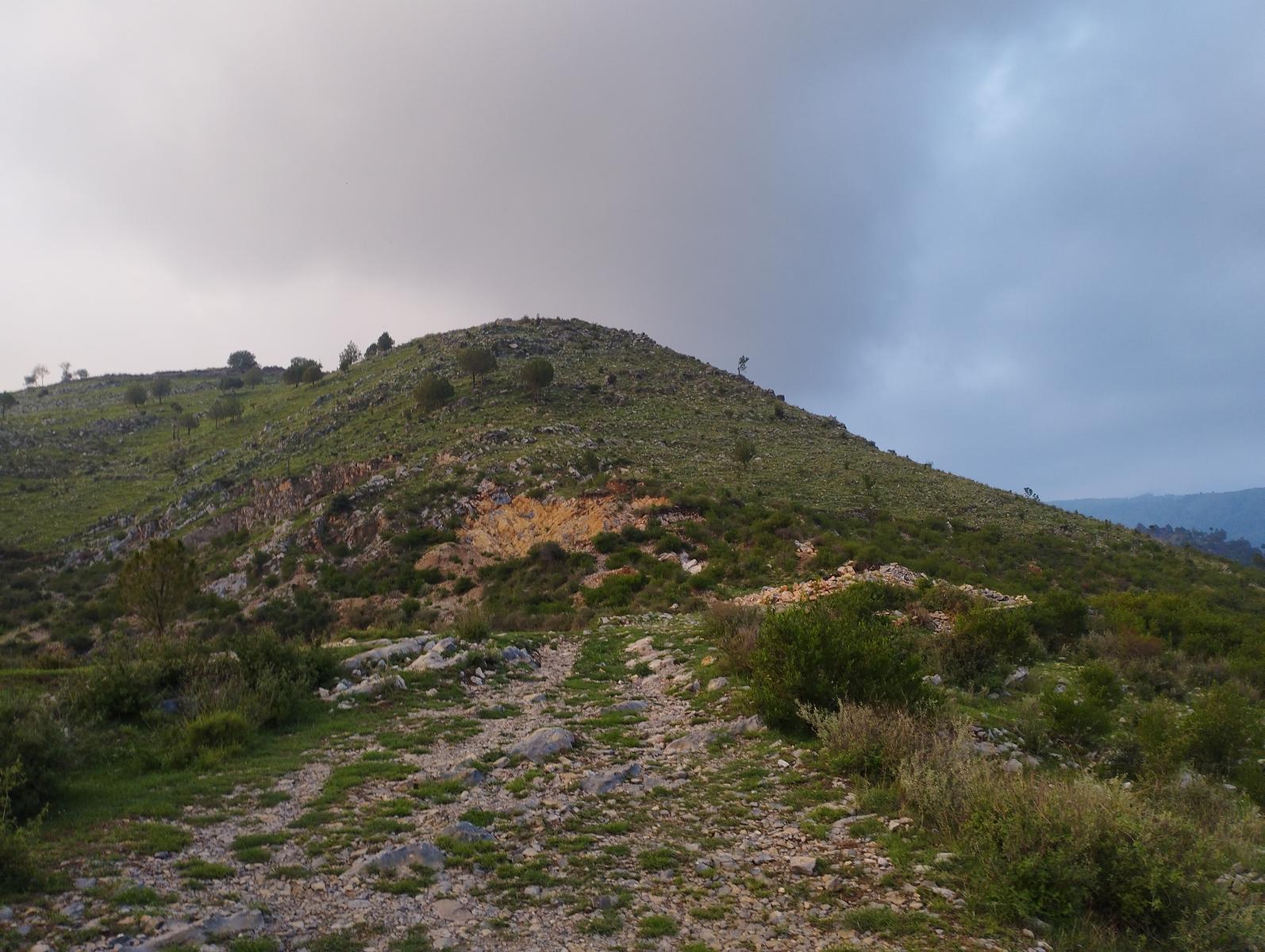 Basali Top - Photo 3