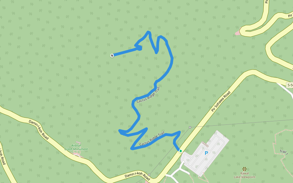 Cactus Ridge Trail - Photo 4