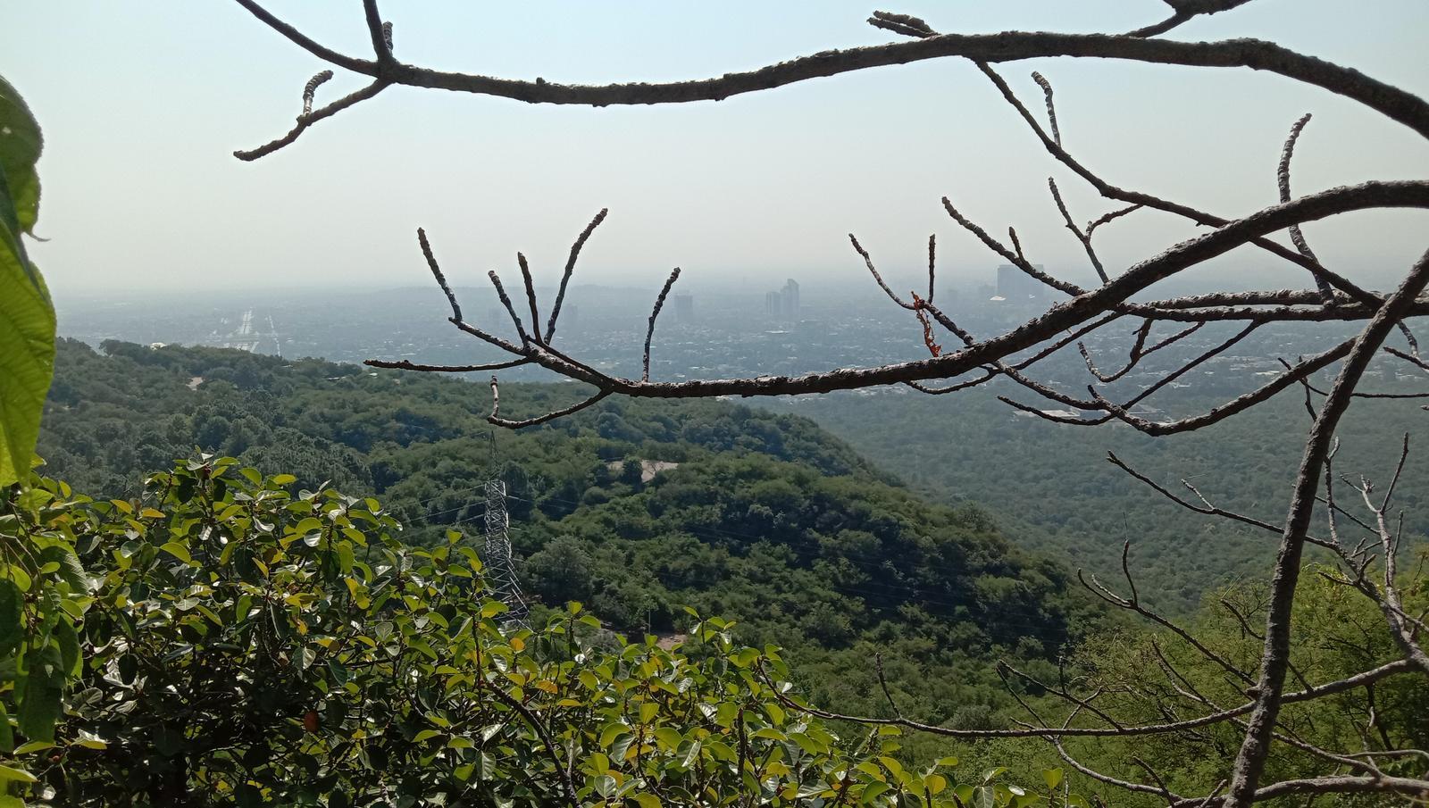 Cactus Ridge Trail