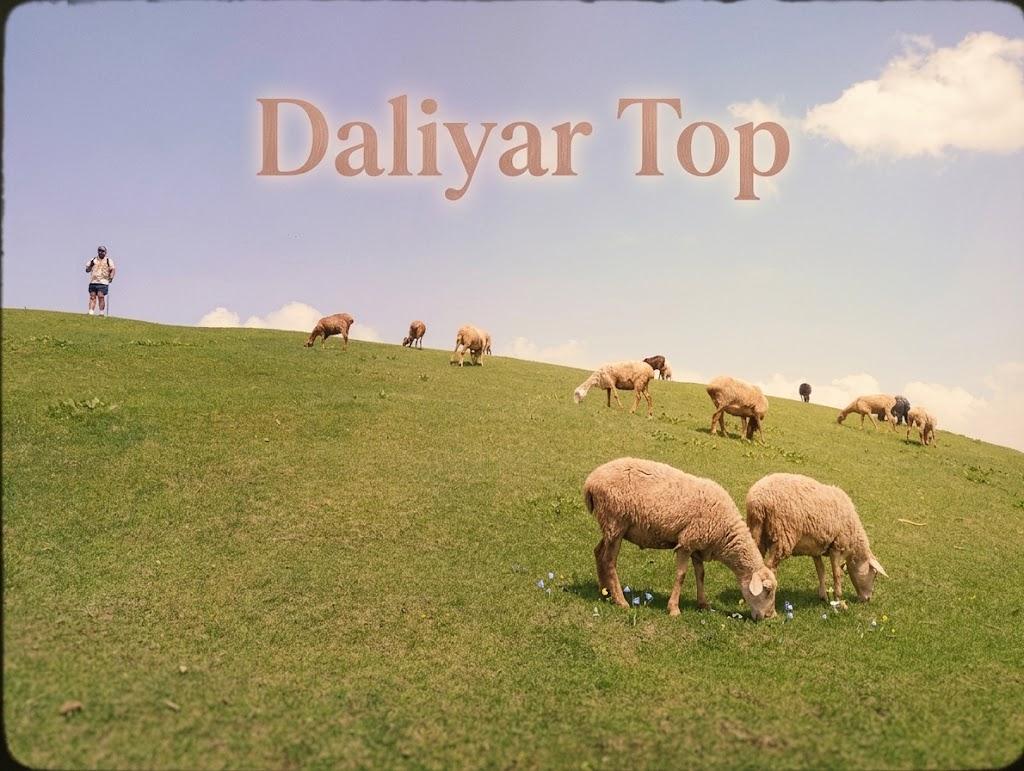 Daliyar Top