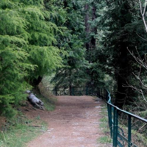 Dunga Gali Pipeline Track - Photo 2