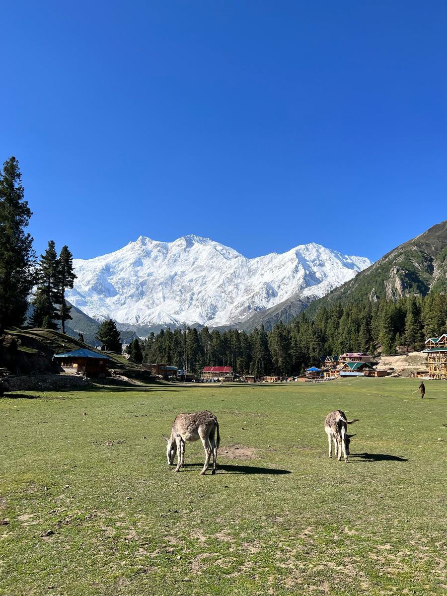 Fairy Meadows - Photo 2