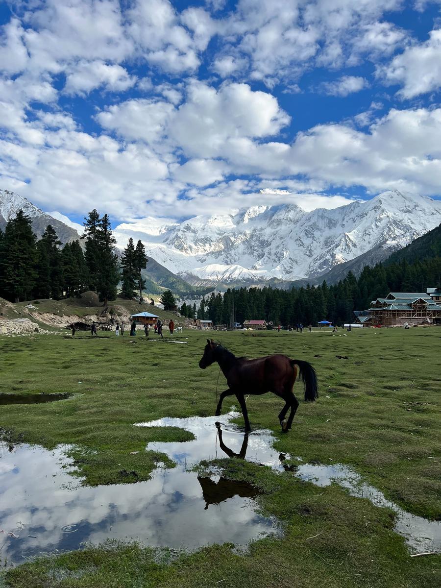 Fairy Meadows