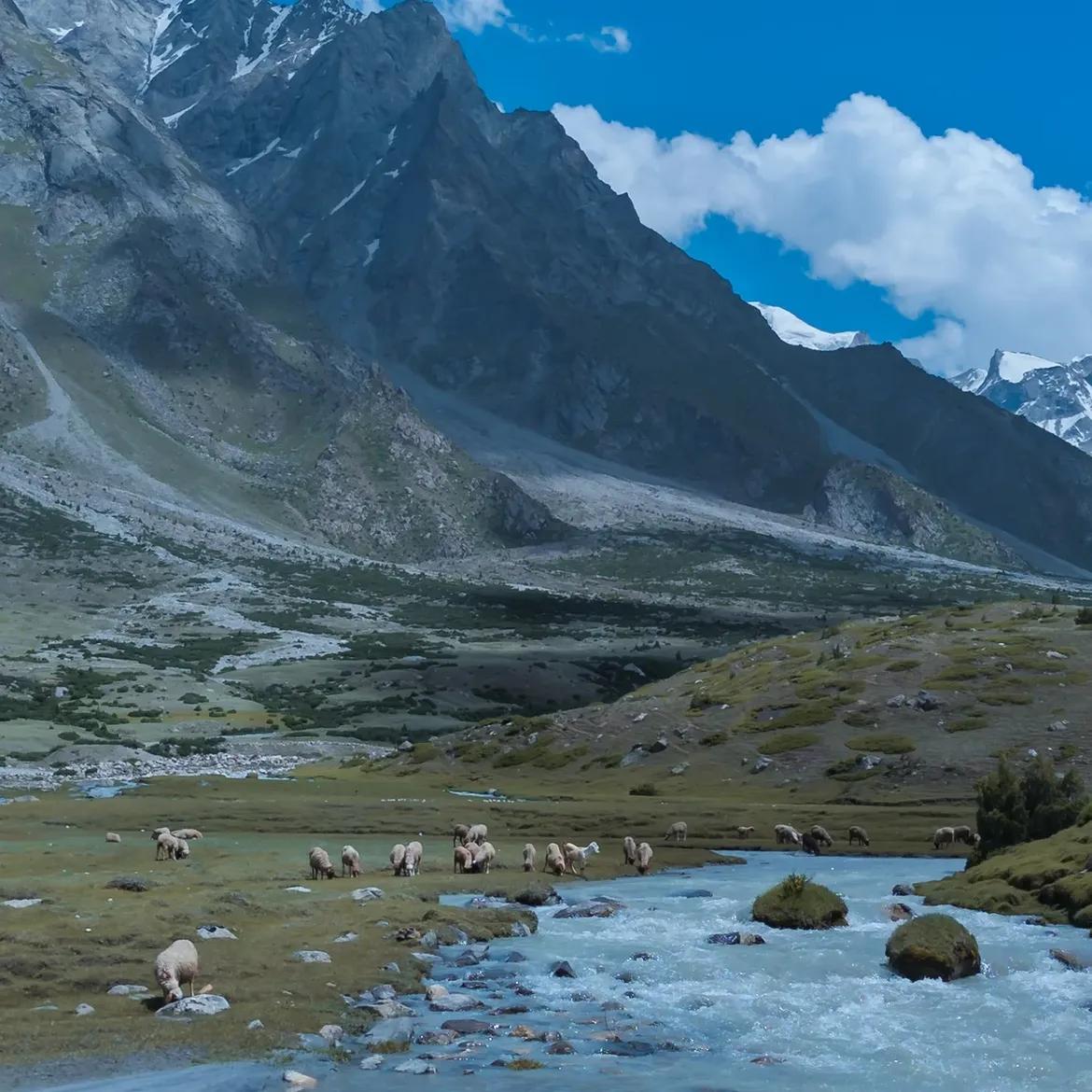 Hiran Bagh - Photo 5