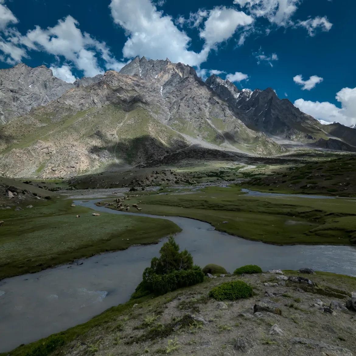 Hiran Bagh - Photo 6