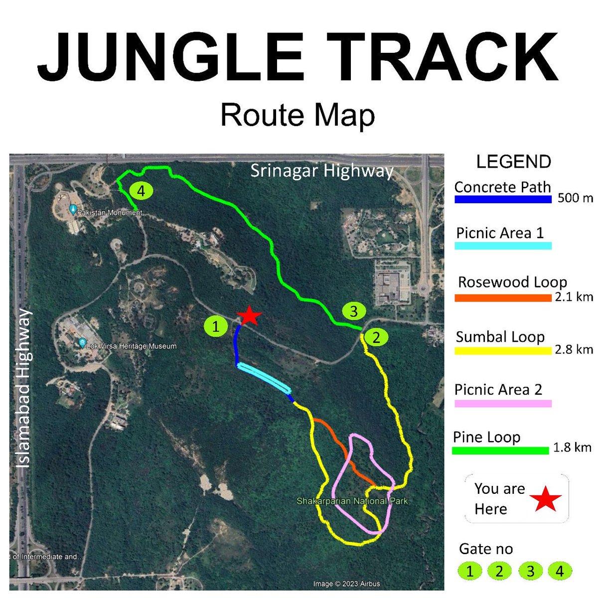 Jungle Trek - Photo 2