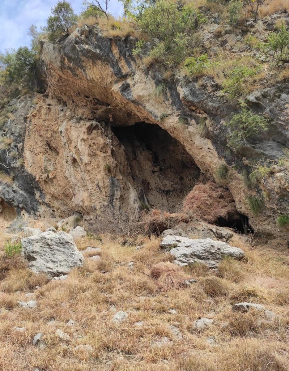 Lions Den