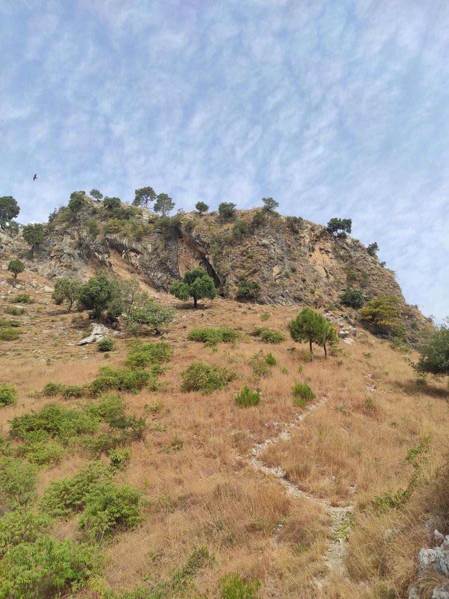 Lions Den - Photo 2