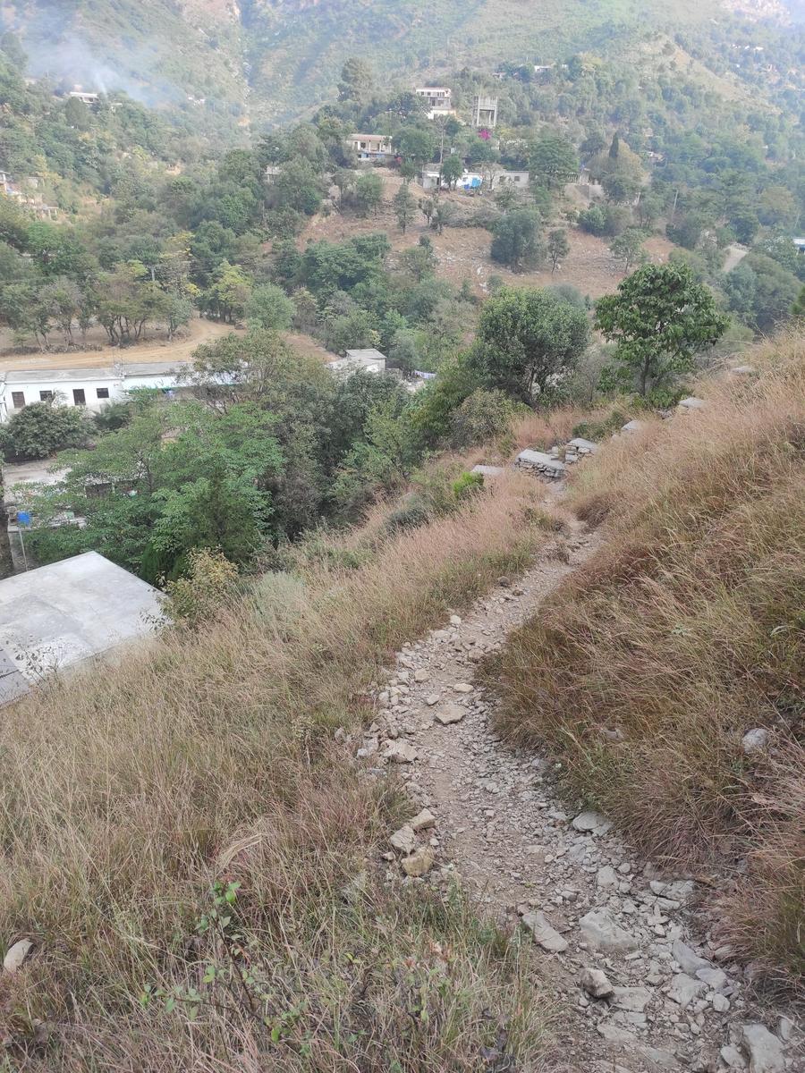 Lions Den - Photo 4