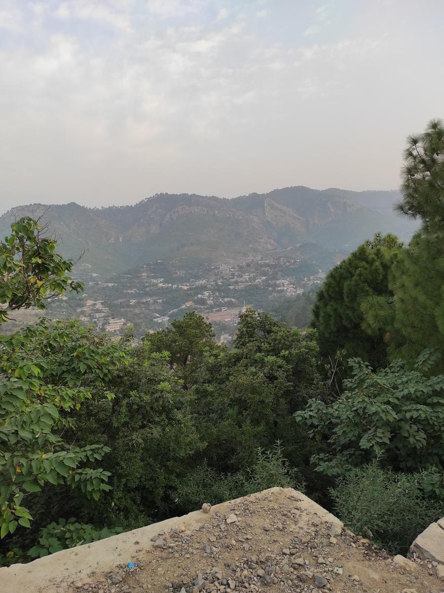 Lions Den - Photo 6