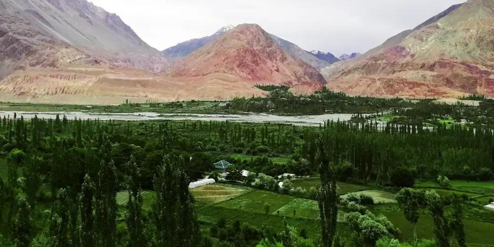 Makuli Meadows - Photo 2