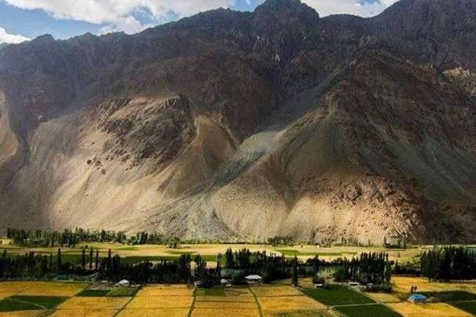 Makuli Meadows