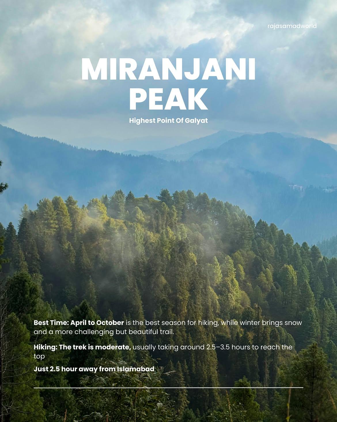 Miranjani Top