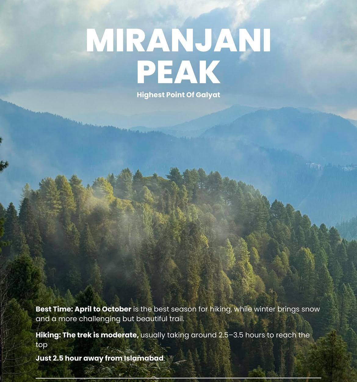 Miranjani Top