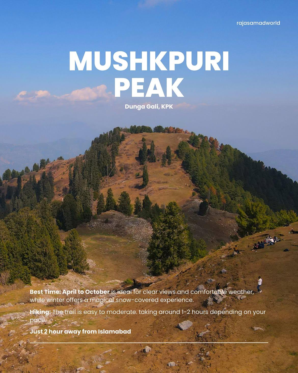 Mushkpuri Top - Photo 2