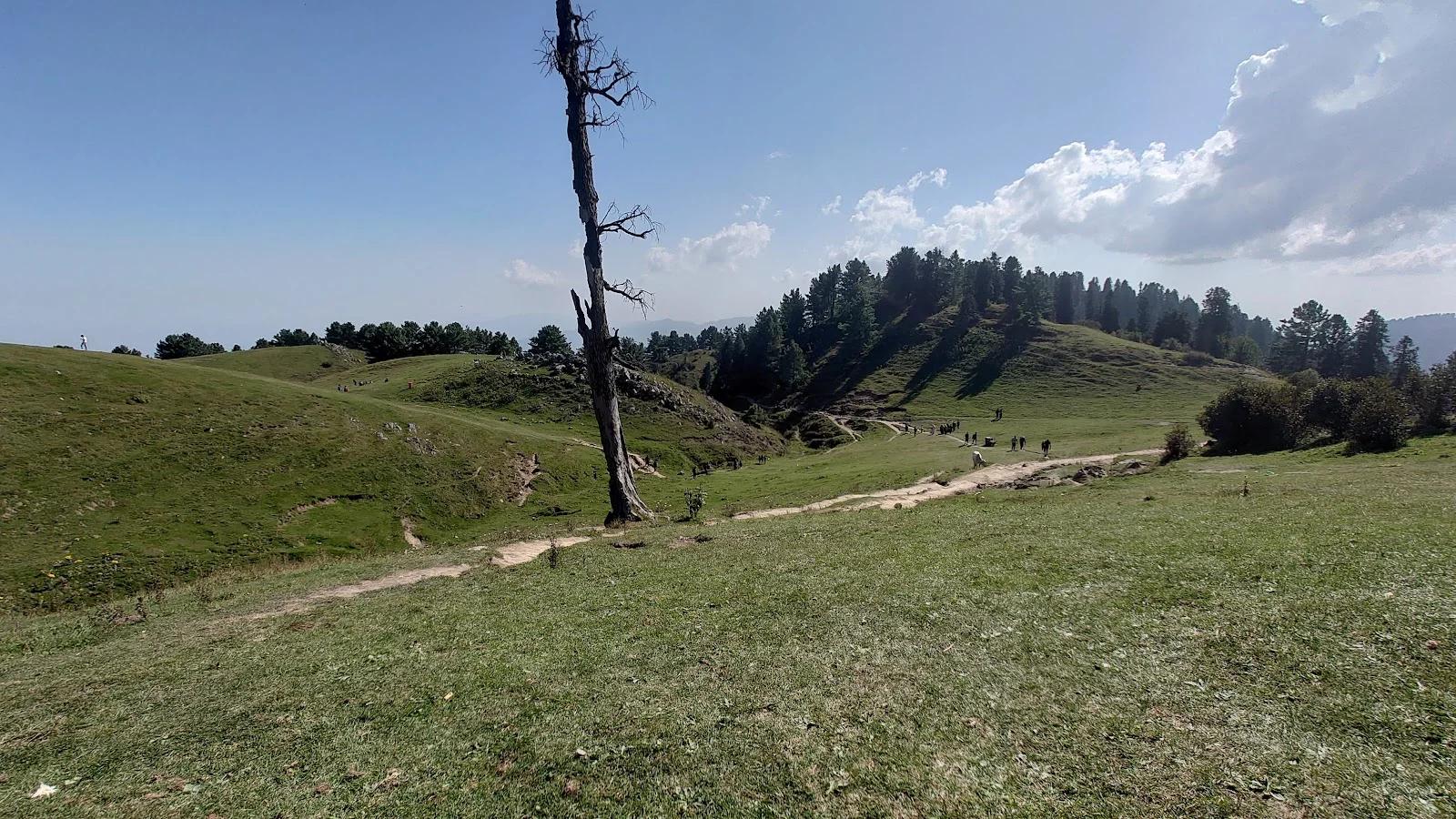 Mushkpuri Top - Photo 3