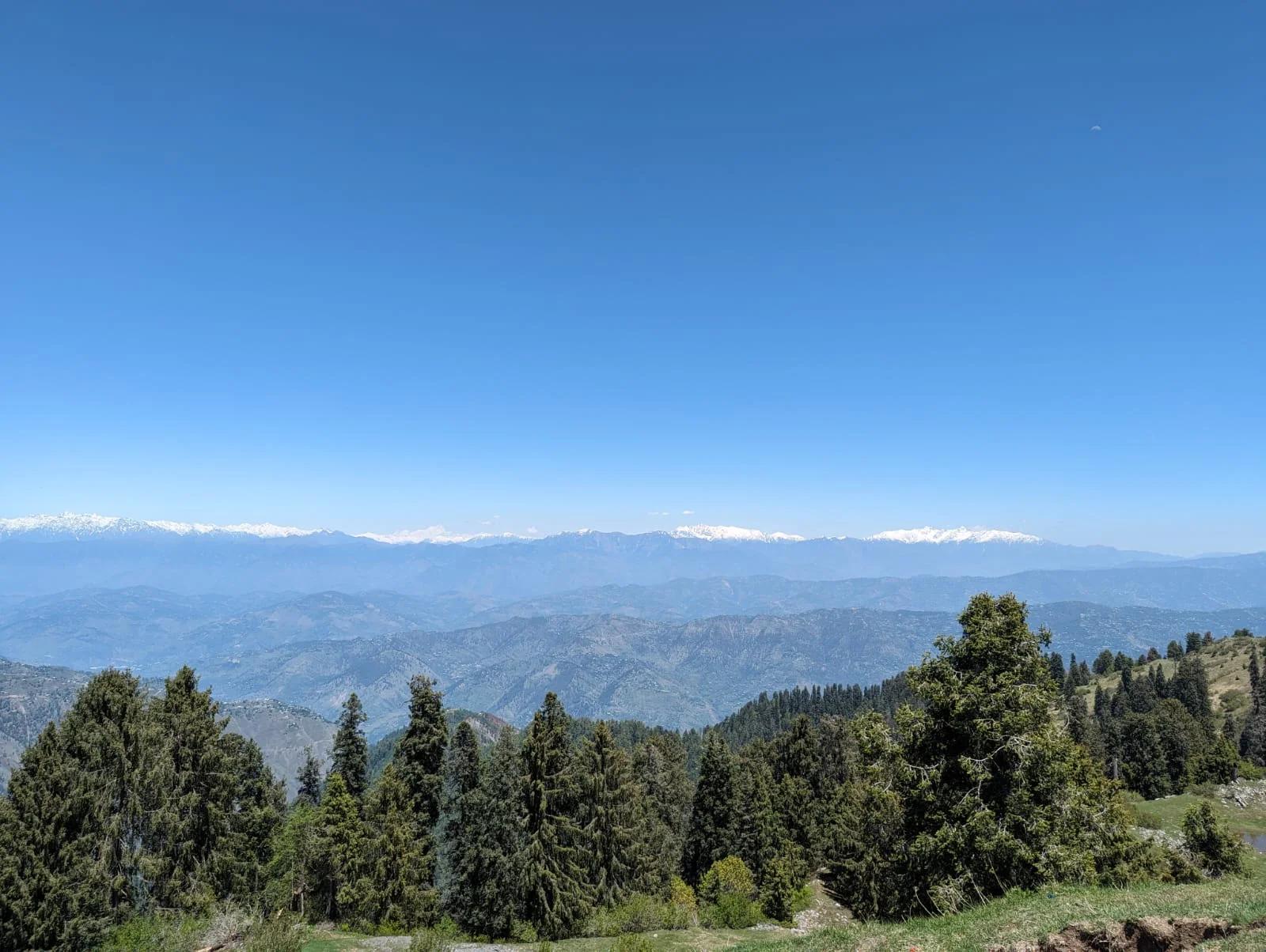 Mushkpuri Top - Photo 5