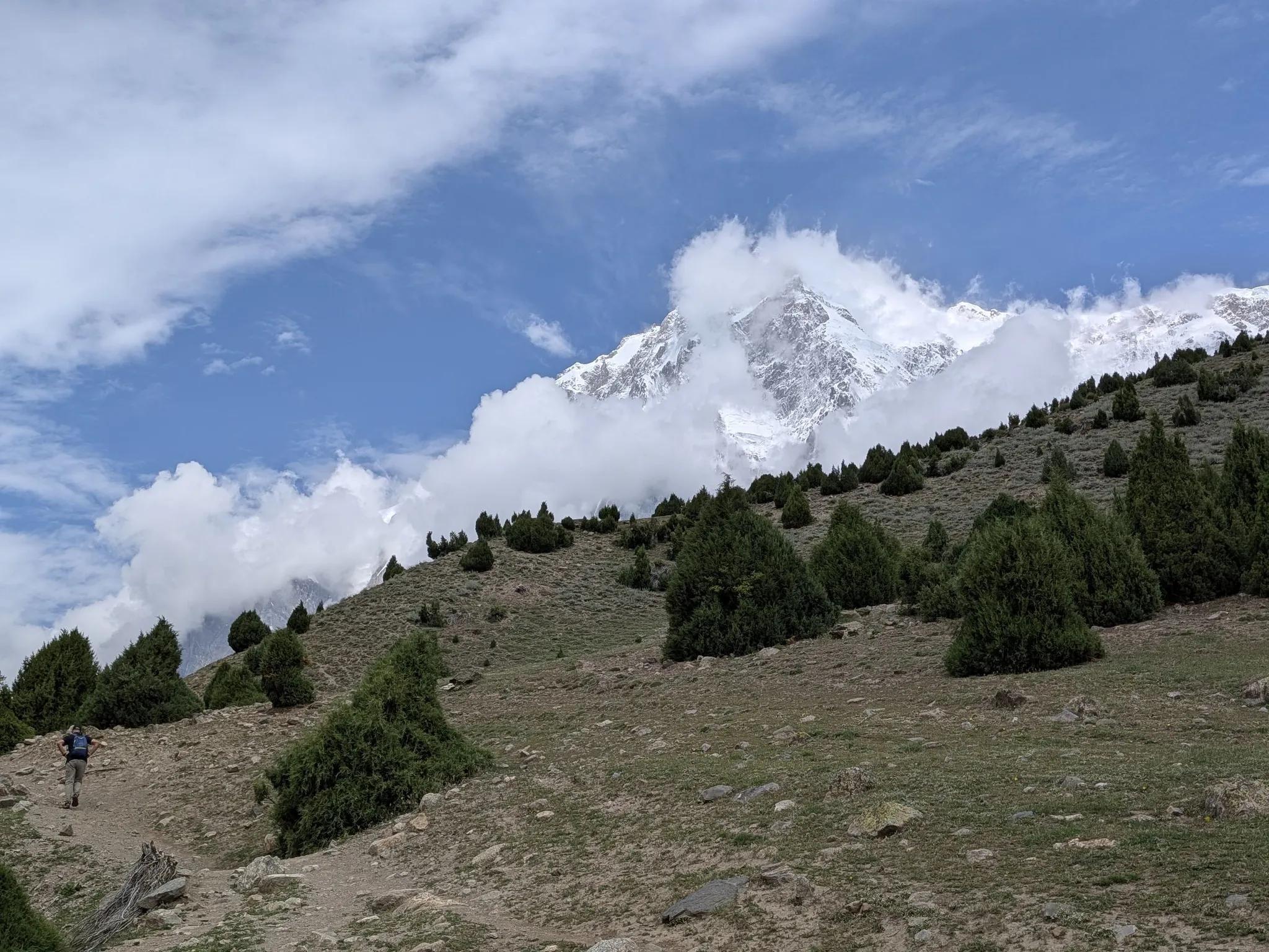 Nanga Parbat Rupal Face