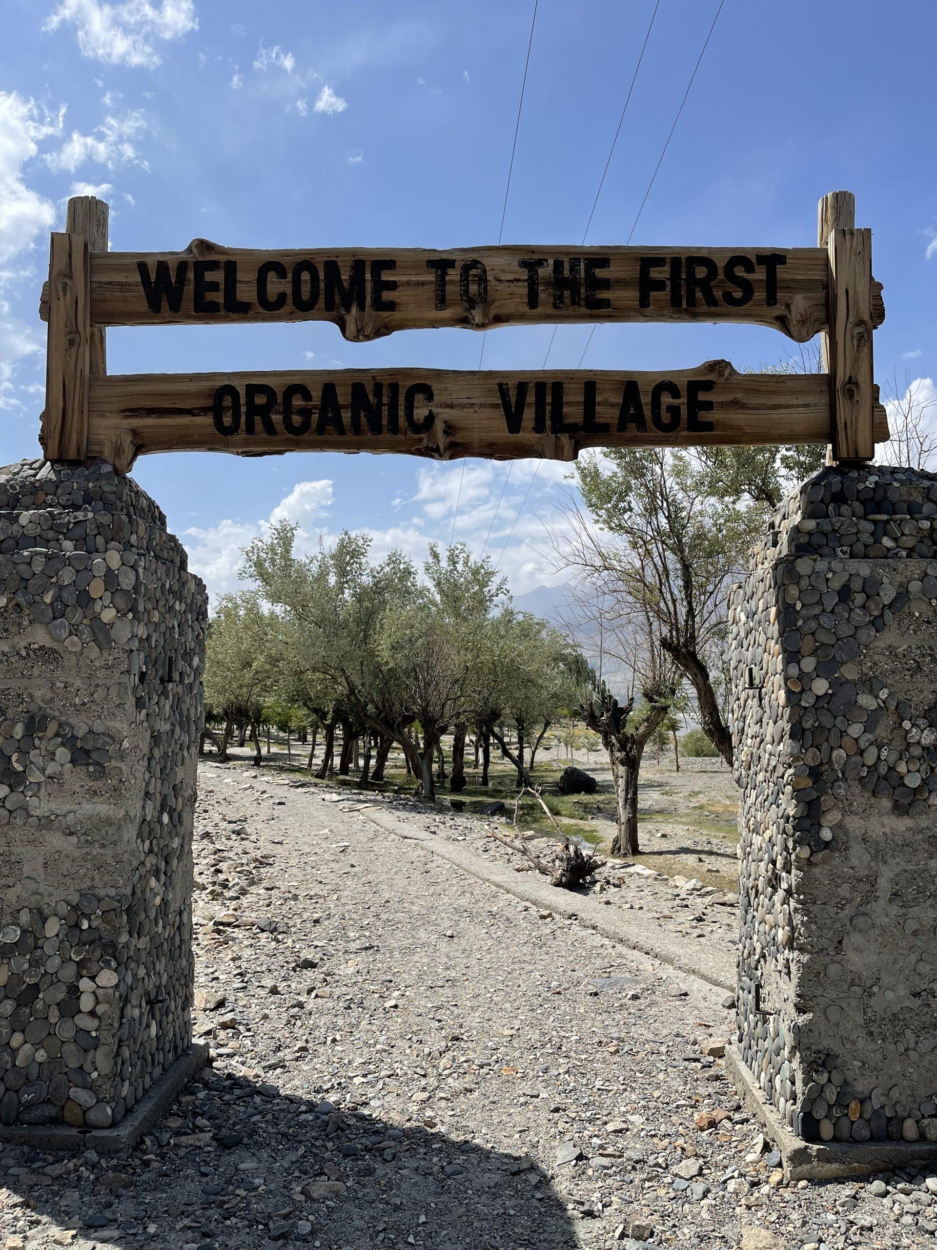 Organic Village