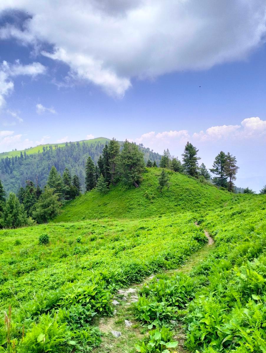 Phalkot Meadows