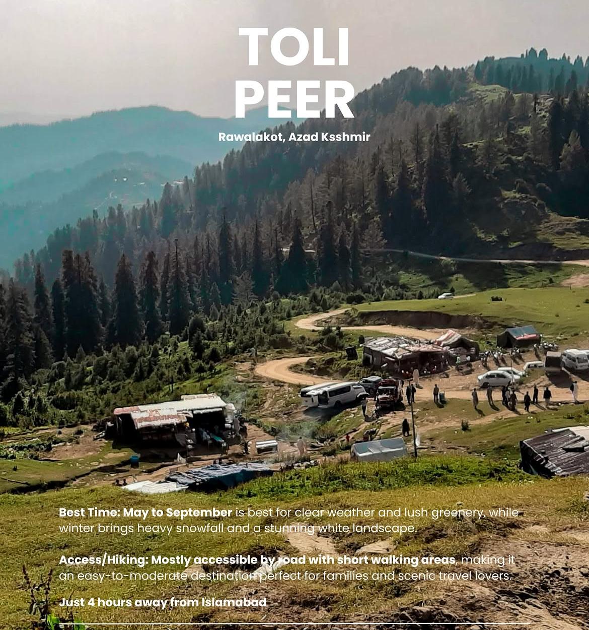 Toli Peer