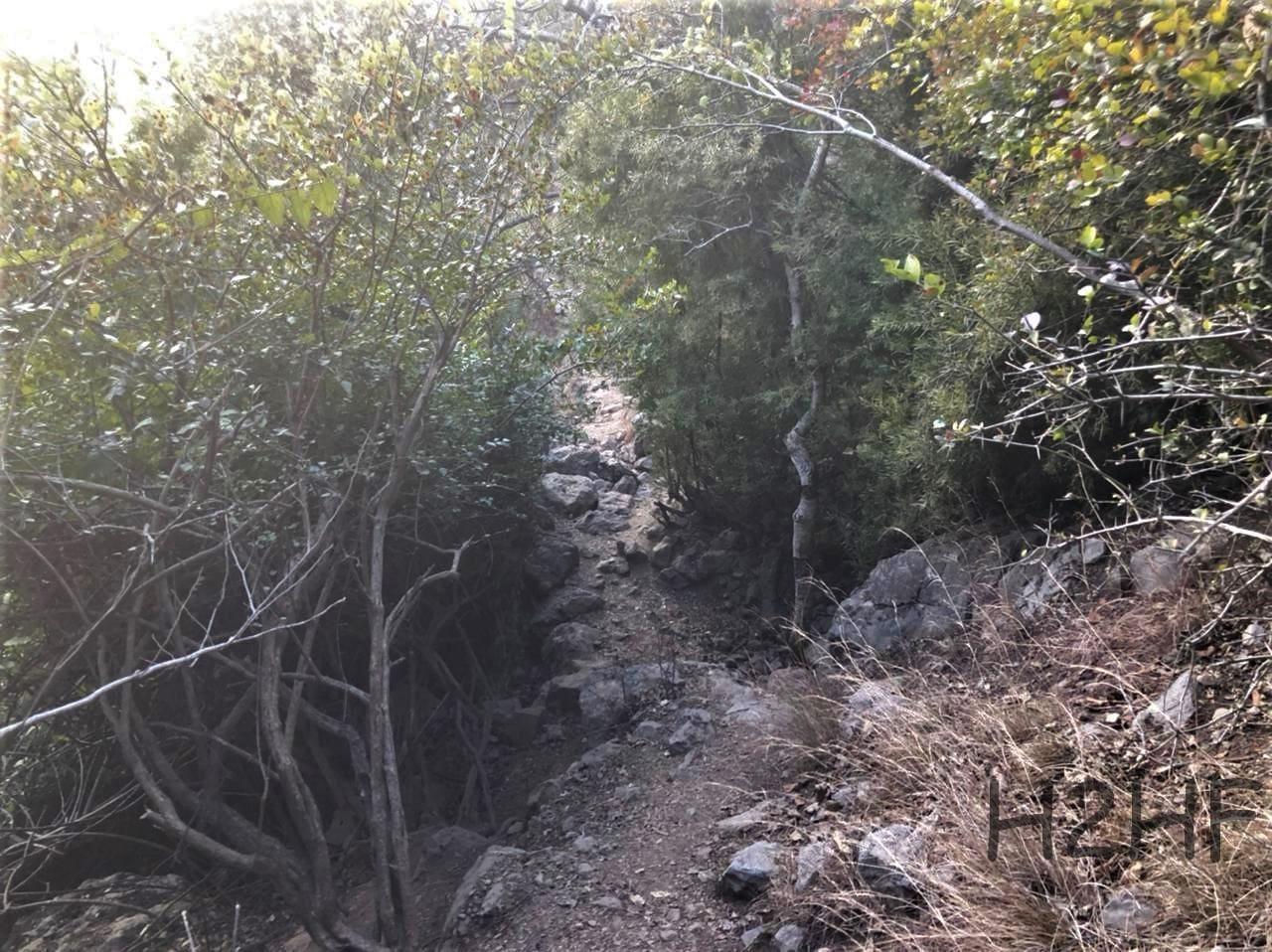 Trail 1 - Photo 3