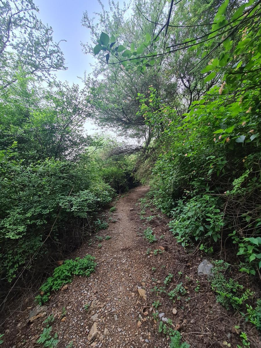 Trail 2 - Photo 3