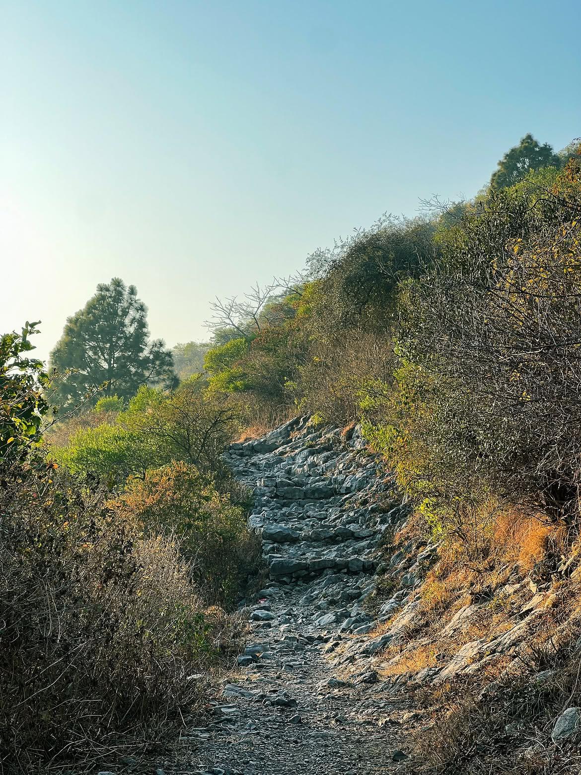 Trail 3 - Photo 2