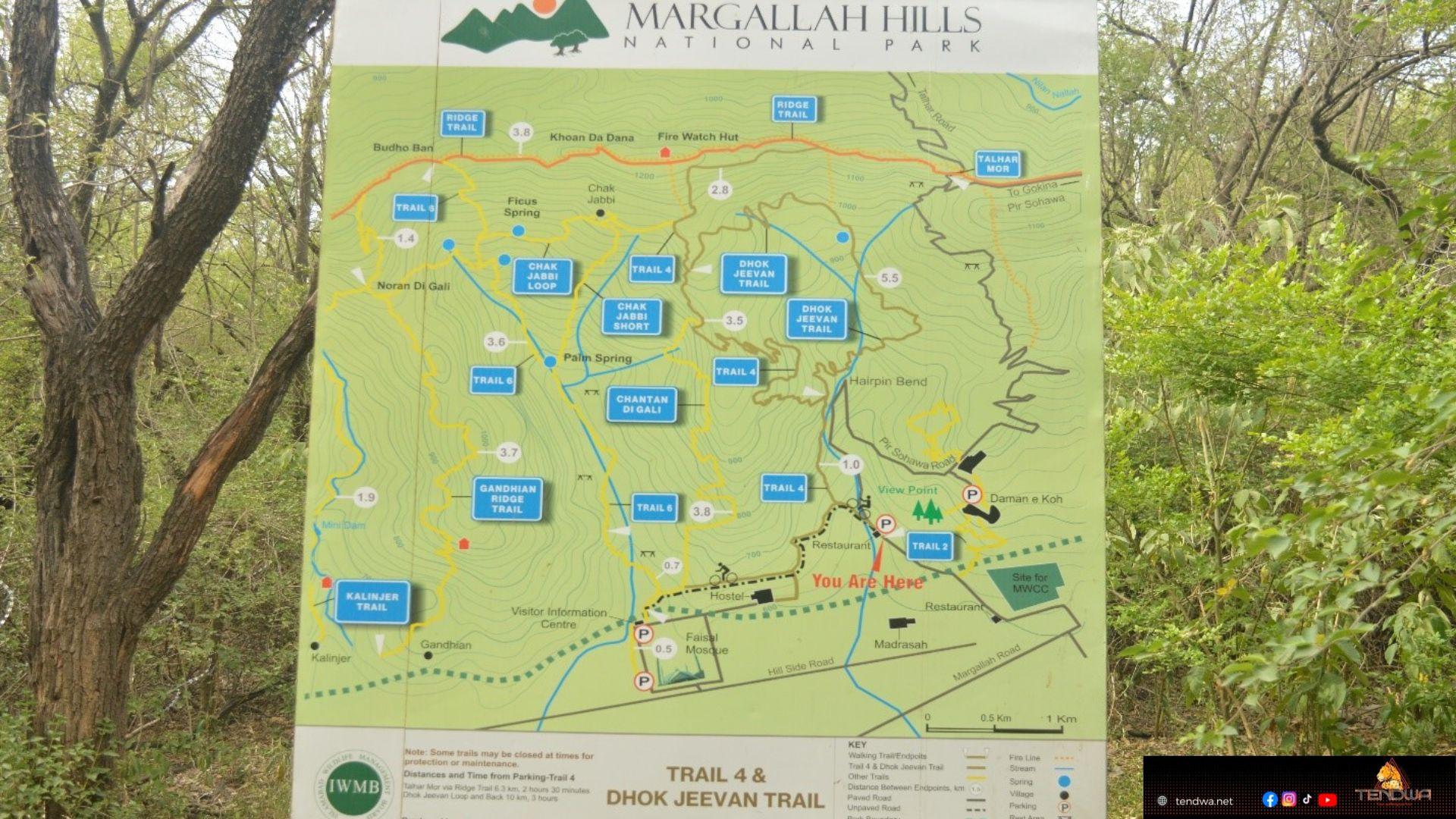 Trail 4 - Photo 2