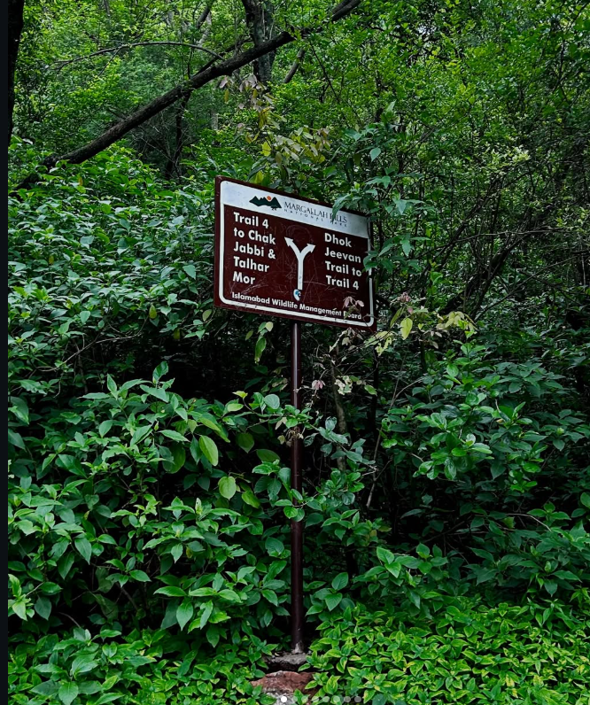Trail 4 - Photo 3
