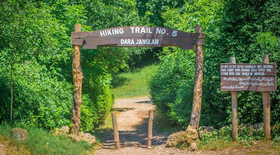 Trail 5 - Photo 2