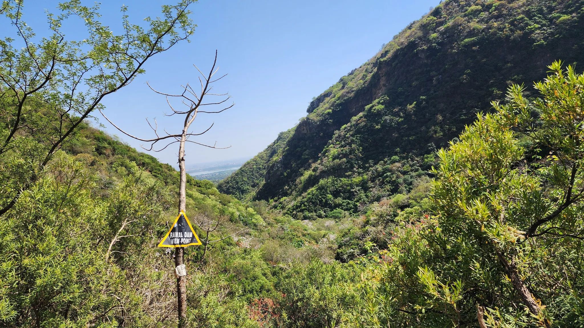 Trail 5
